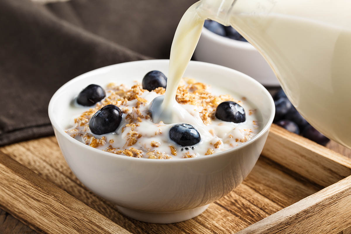 Stockfoto - Müsli mit frischen Blaubeeren